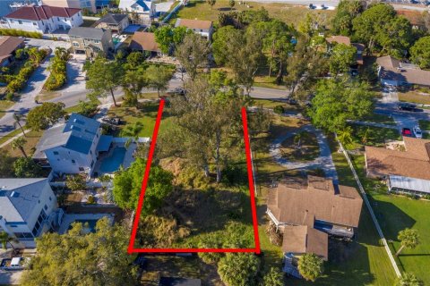 Terreno en venta en Tarpon Springs, Florida № 1346534 - foto 14