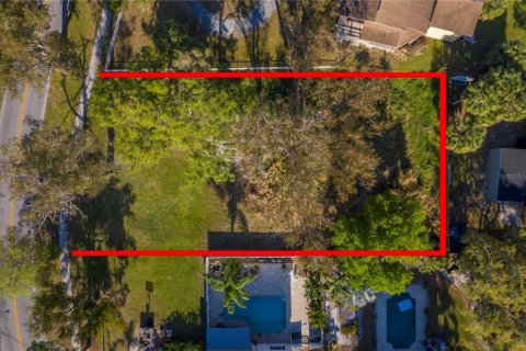 Terreno en venta en Tarpon Springs, Florida № 1346534 - foto 11