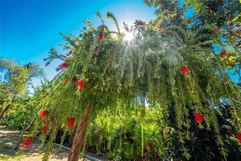 Villa ou maison à vendre à Punta Gorda, Floride: 3 chambres, 154.22 m2 № 1025705 - photo 6