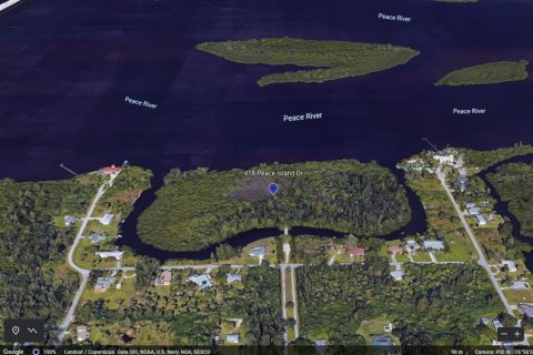 Land in Punta Gorda, Florida № 1248274 - photo 12