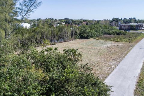 Terrain à vendre à Punta Gorda, Floride № 1248275 - photo 6