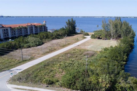 Land in Punta Gorda, Florida № 1248275 - photo 3