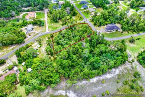 Terreno en venta en Brooksville, Florida № 1284475 - foto 9