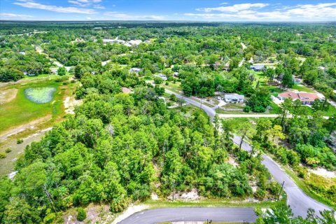 Terreno en venta en Brooksville, Florida № 1284475 - foto 12