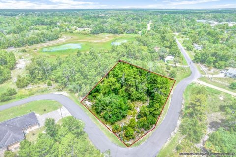 Terreno en venta en Brooksville, Florida № 1284475 - foto 4