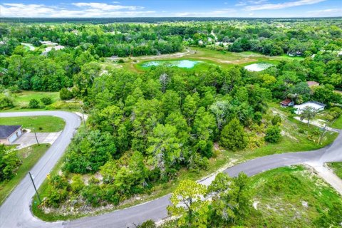 Terreno en venta en Brooksville, Florida № 1284475 - foto 1