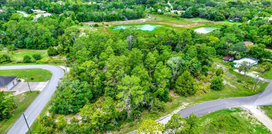 Terreno en Brooksville, Florida № 1284475