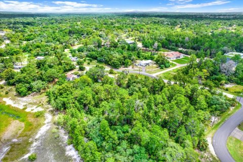 Land in Brooksville, Florida № 1284475 - photo 13