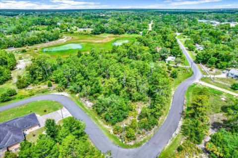 Land in Brooksville, Florida № 1284475 - photo 11