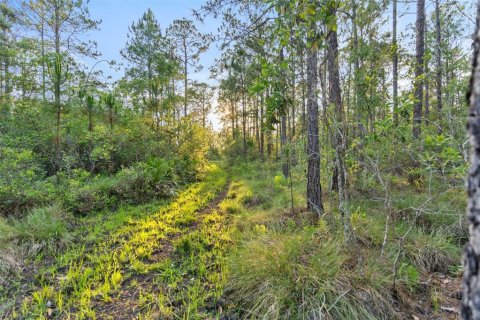 Terreno en venta en Fort Meade, Florida № 1245195 - foto 11