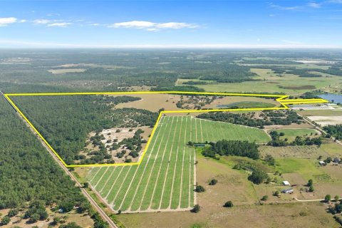 Terreno en venta en Fort Meade, Florida № 1245195 - foto 6