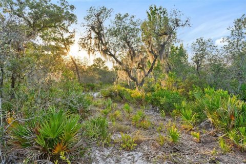 Terreno en venta en Fort Meade, Florida № 1245195 - foto 12