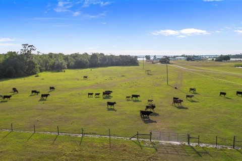 Land in Fort Meade, Florida № 1245195 - photo 13