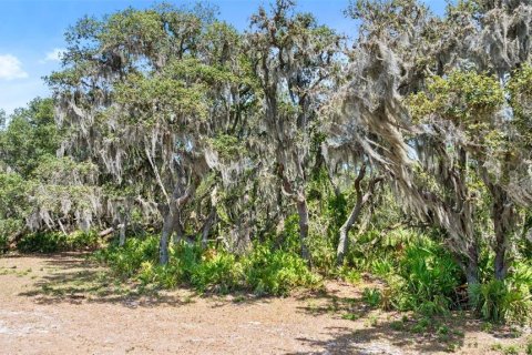 Terreno en venta en Fort Meade, Florida № 1245195 - foto 8