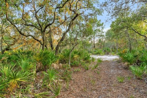 Land in Fort Meade, Florida № 1245195 - photo 10