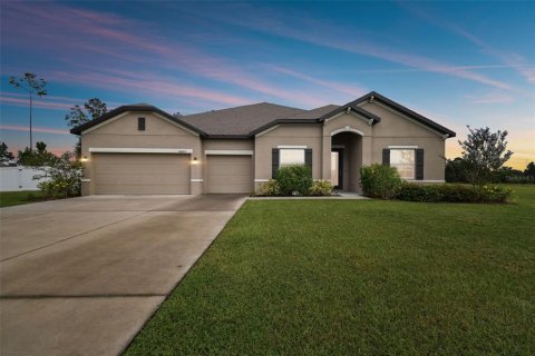 Casa en venta en Thonotosassa, Florida, 4 dormitorios, 290.04 m2 № 1387263 - foto 1