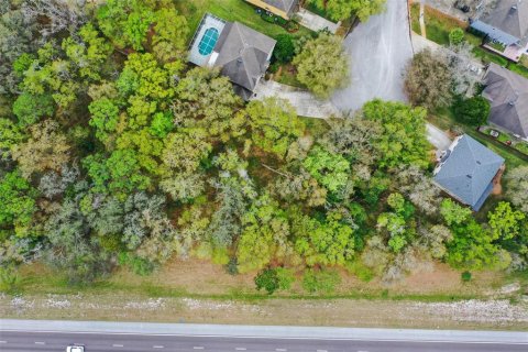 Купить земельный участок в Лутц, Флорида № 1056355 - фото 27