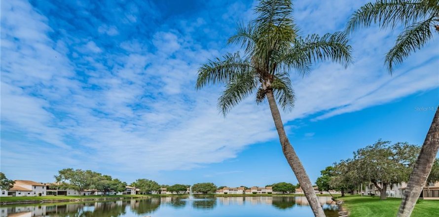 Condo à Holiday, Floride, 2 chambres  № 1041932