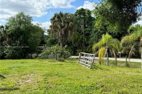 Terrain à vendre à LaBelle, Floride № 1075490 - photo 24