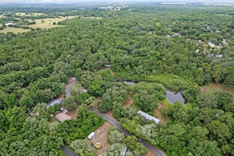 Land in Dade City, Florida № 1252598 - photo 10