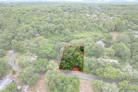 Terreno en venta en Dade City, Florida № 1252598 - foto 1