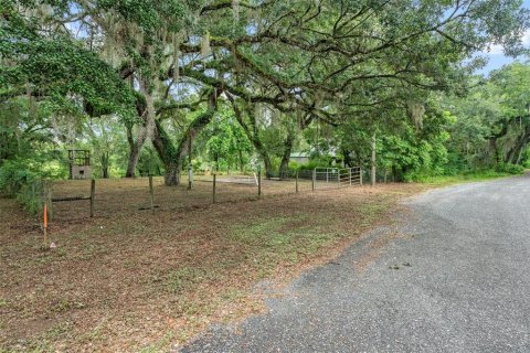 Terreno en venta en Dade City, Florida № 1252598 - foto 3