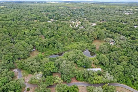 Terreno en venta en Dade City, Florida № 1252598 - foto 14