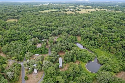 Land in Dade City, Florida № 1252598 - photo 19