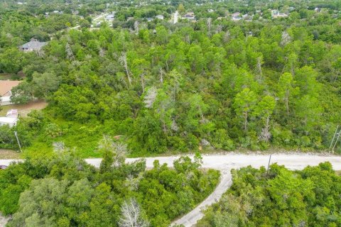 Terreno en venta en Deltona, Florida № 1306896 - foto 2