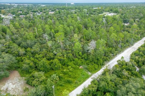 Terrain à vendre à Deltona, Floride № 1306896 - photo 4