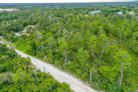 Terreno en venta en Deltona, Florida № 1306896 - foto 7