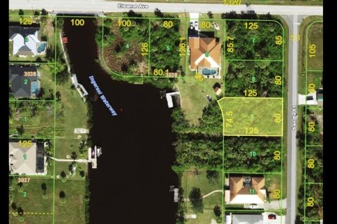 Land in Port Charlotte, Florida № 1306895 - photo 2