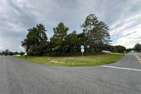 Terreno en venta en Ocala, Florida № 1306893 - foto 8