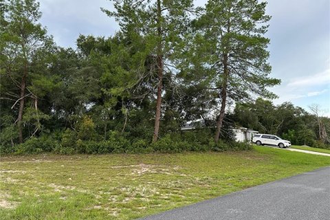 Terreno en venta en Ocala, Florida № 1306893 - foto 2