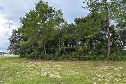 Terreno en venta en Ocala, Florida № 1306893 - foto 1