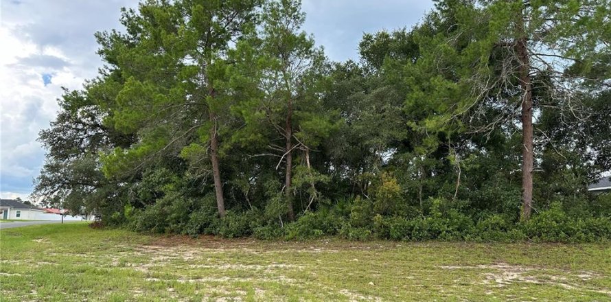 Land in Ocala, Florida № 1306893