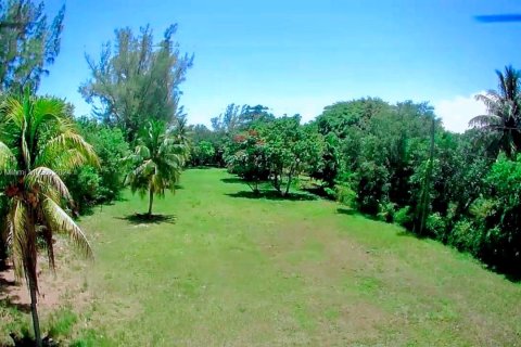 Terreno en venta en Miami, Florida № 1375033 - foto 15