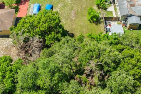 Terreno en venta en Tampa, Florida № 1303849 - foto 23