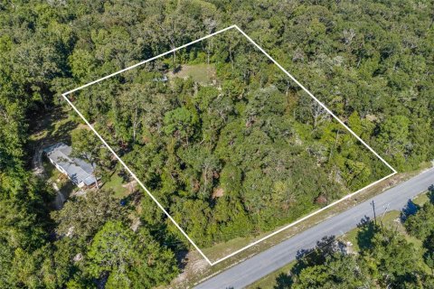 Terreno en venta en Fort White, Florida № 1340970 - foto 12