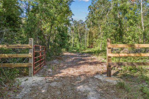 Land in Fort White, Florida № 1340970 - photo 2