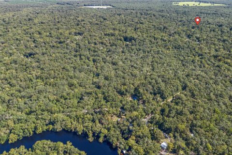 Land in Fort White, Florida № 1340970 - photo 5