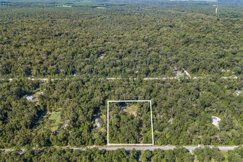 Terreno en venta en Fort White, Florida № 1340970 - foto 16