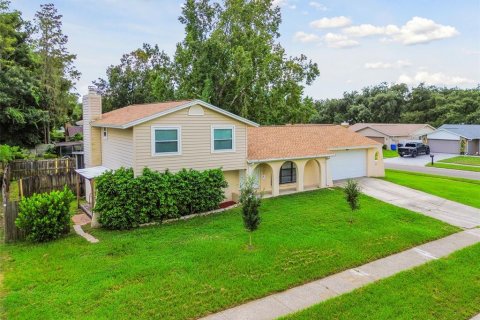 Villa ou maison à vendre à Tampa, Floride: 4 chambres, 158.86 m2 № 1361636 - photo 1