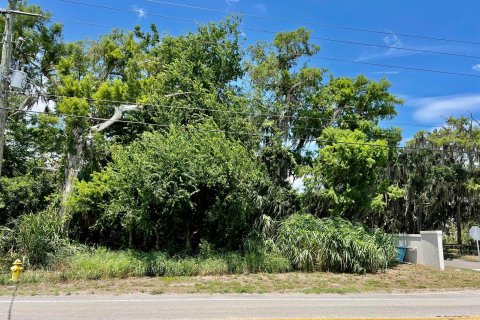 Land in Okeechobee, Florida № 1226945 - photo 4