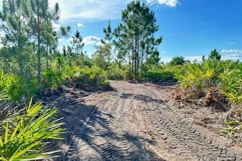 Terreno en venta en Punta Gorda, Florida № 1321908 - foto 7