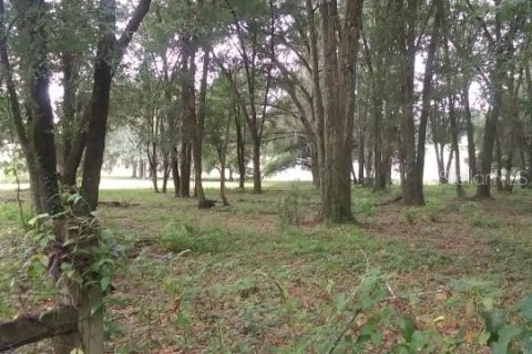 Terreno en venta en Dade City, Florida № 1352849 - foto 6