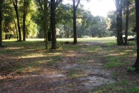 Terreno en venta en Dade City, Florida № 1352849 - foto 3