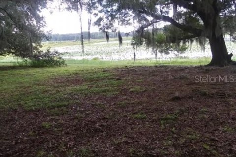 Terreno en venta en Dade City, Florida № 1352849 - foto 11