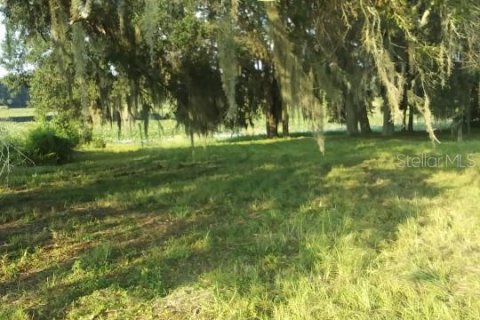 Land in Dade City, Florida № 1352849 - photo 7