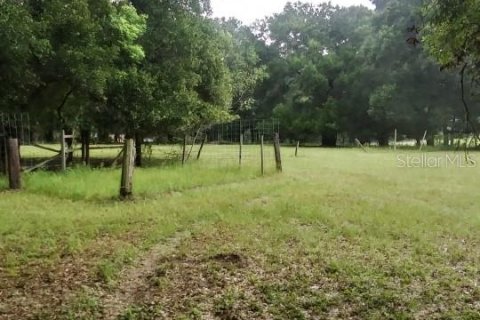 Terreno en venta en Dade City, Florida № 1352849 - foto 9